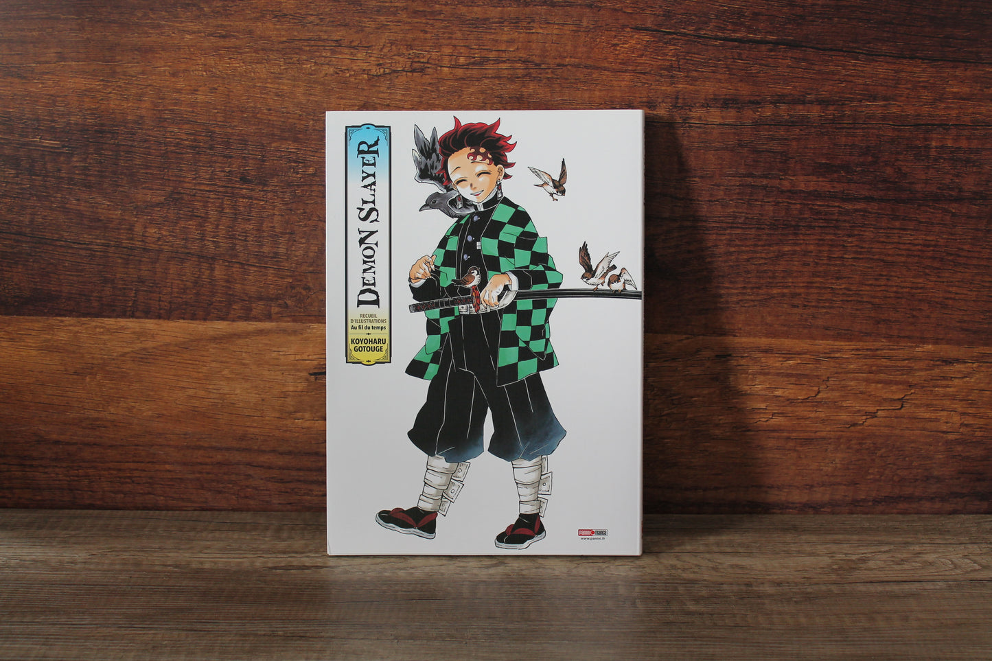 Art Book Demon Slayer
