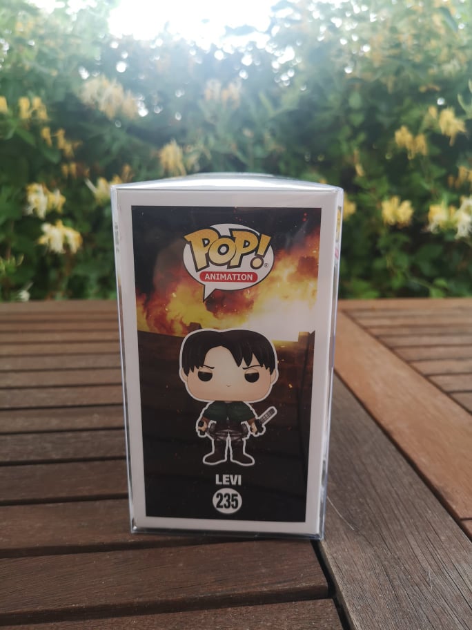POP - Levi