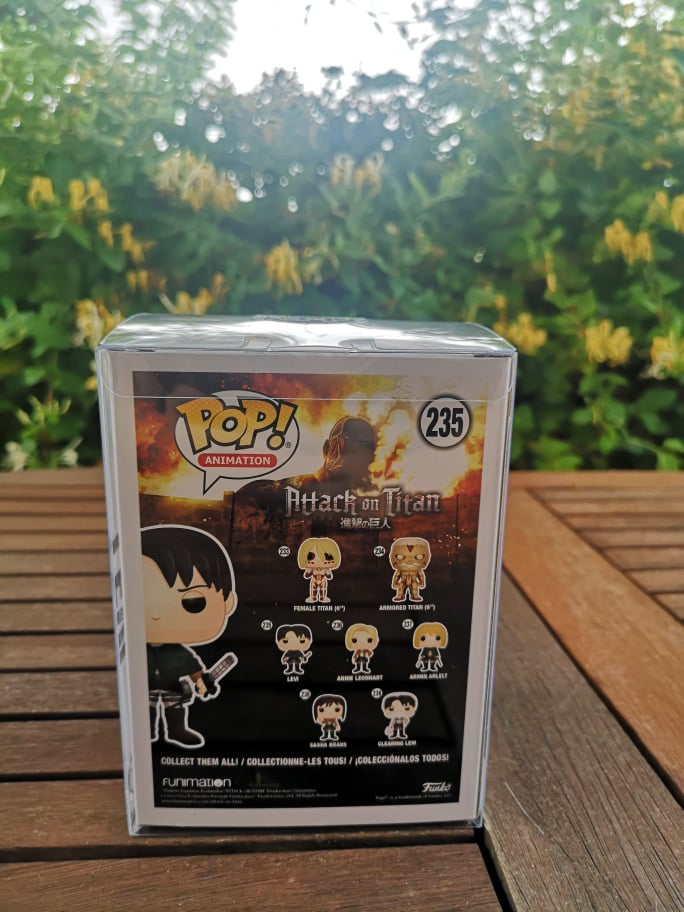 POP - Levi