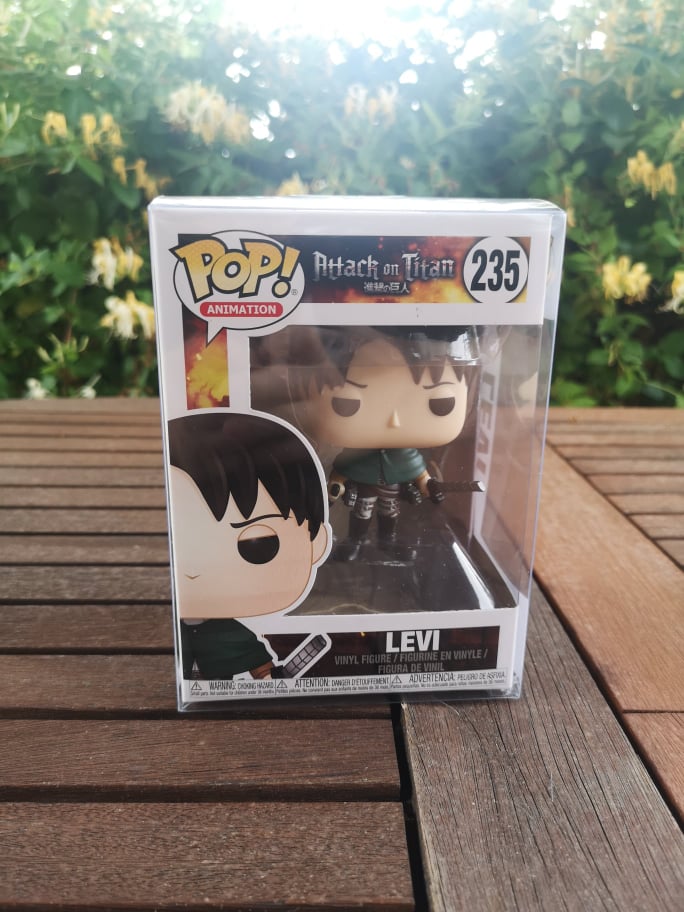 POP - Levi