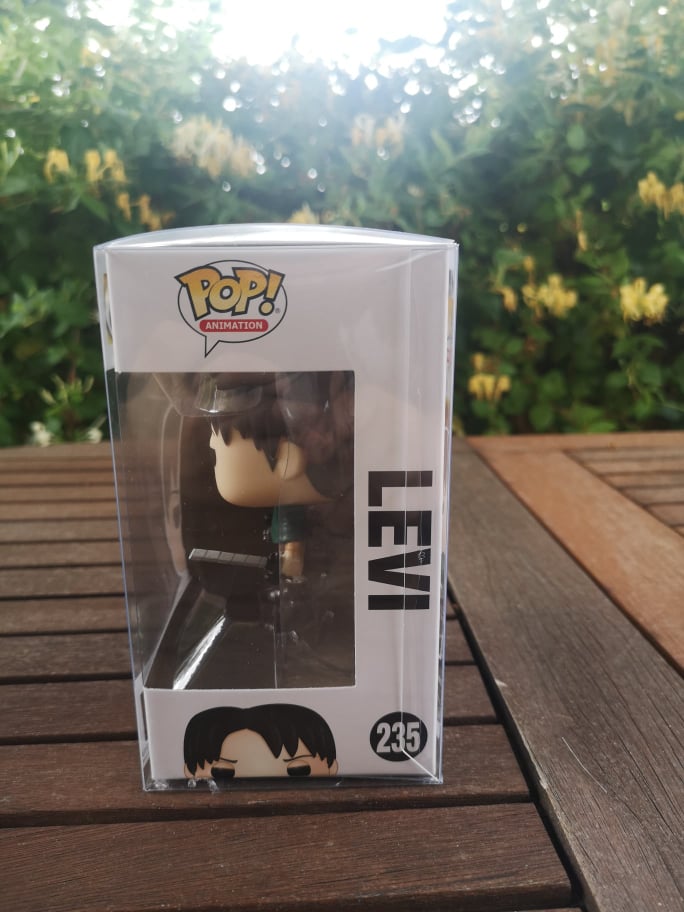 POP - Levi