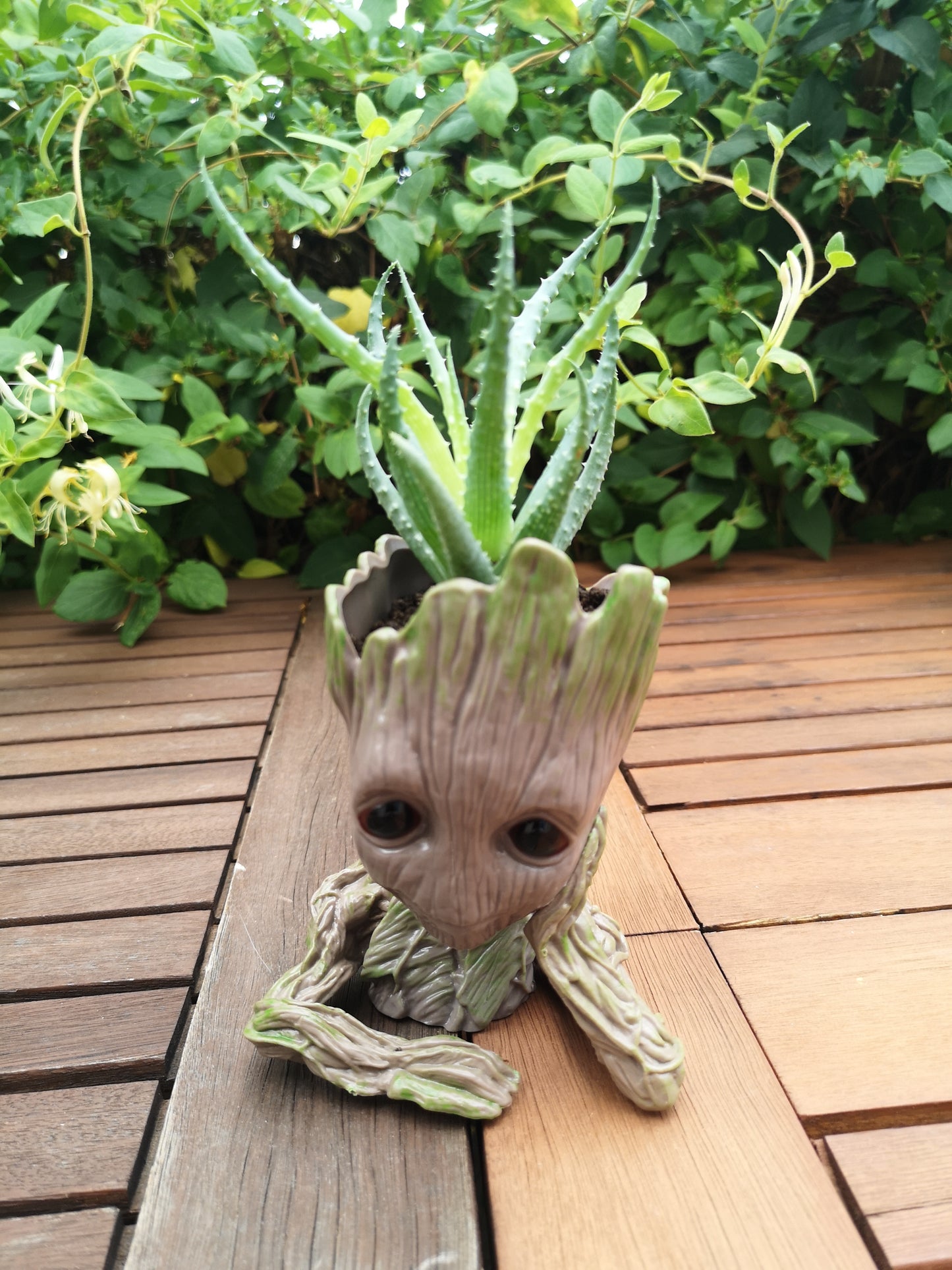 Groot